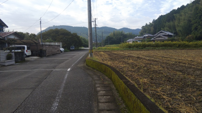 朝の遍路道