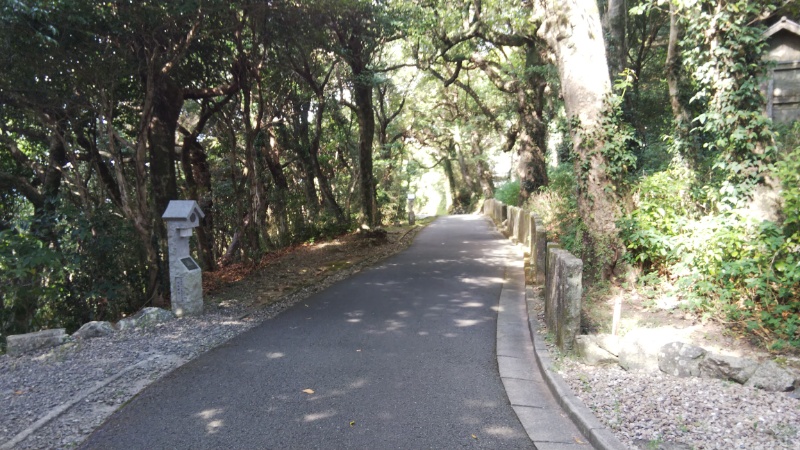 駐車場へと続く道