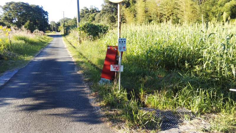 お遍路道
