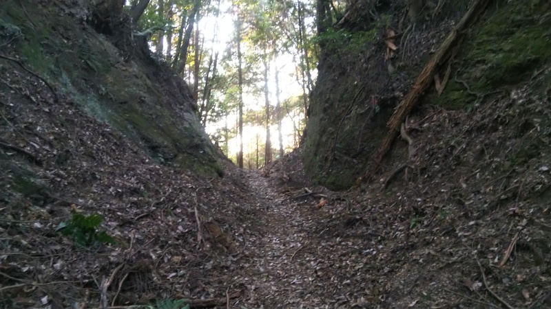 遍路道の峠