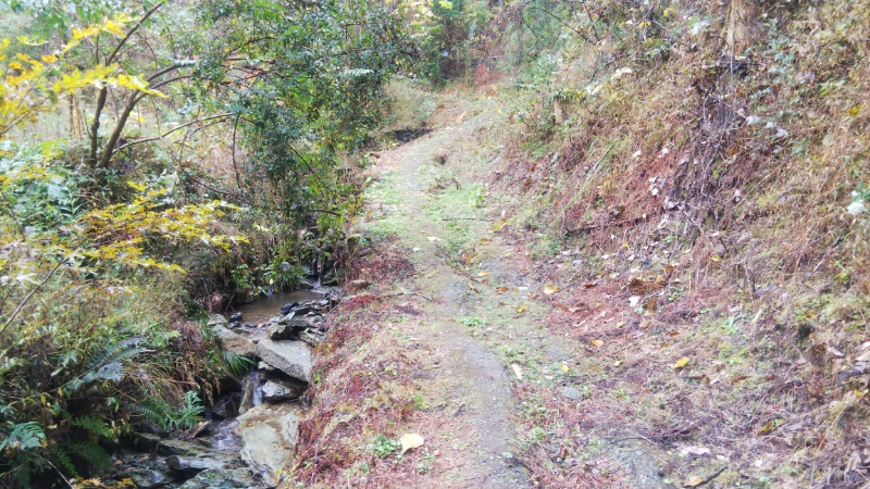 下坂場峠遍路道