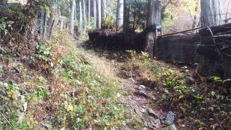 ひわだ峠