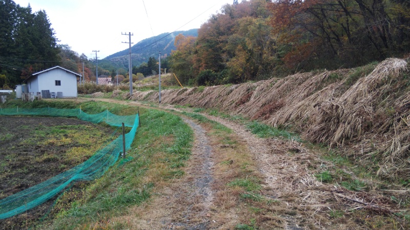 エンマ堂遍路道