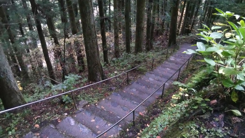 岩屋寺山道