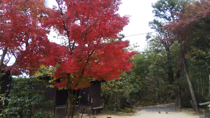 栄福寺境内