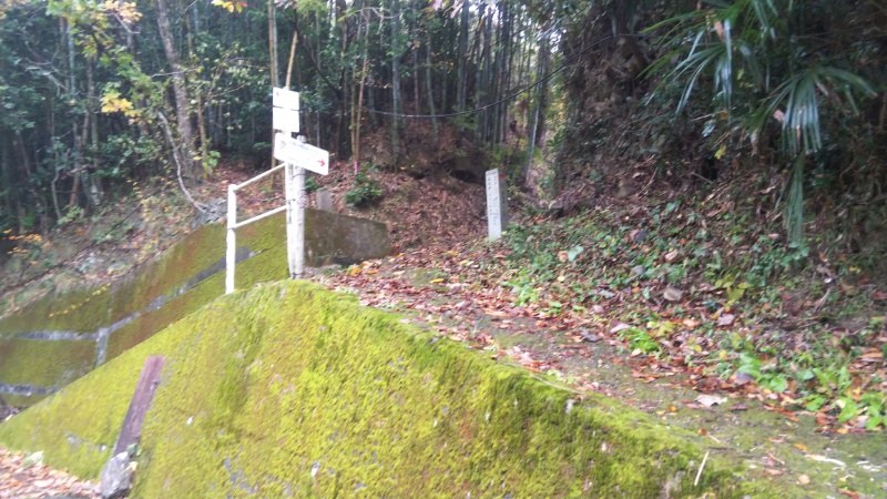 遍路道登り初め