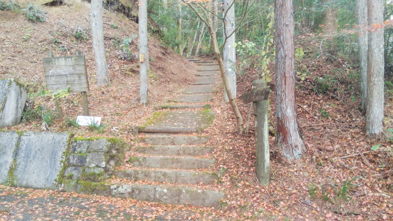 雲辺寺参道