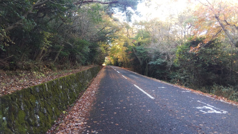 県道180号線