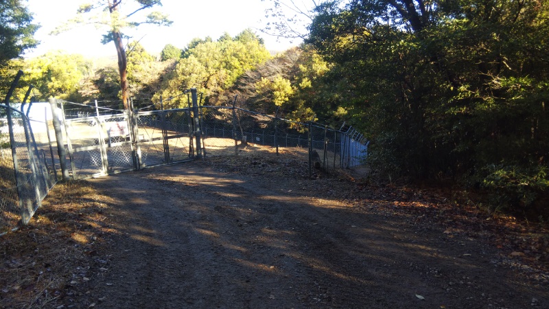 白峯寺へ続く道