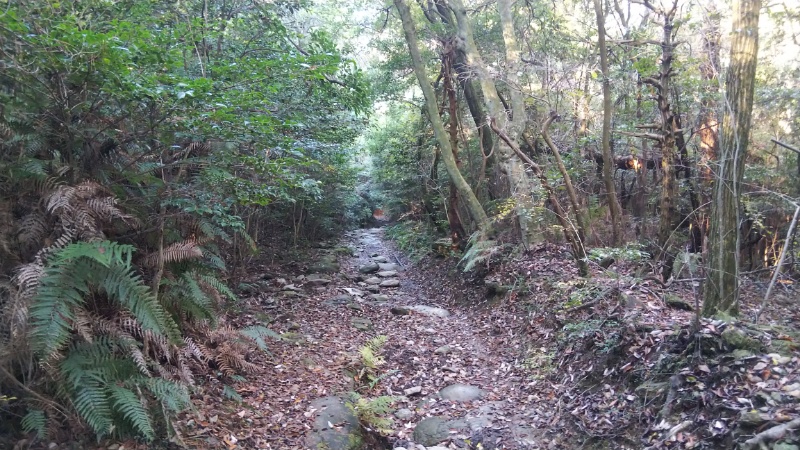 白峯寺への遍路道