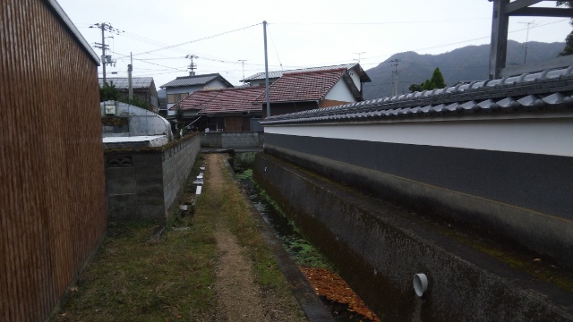 東海寺まえの道