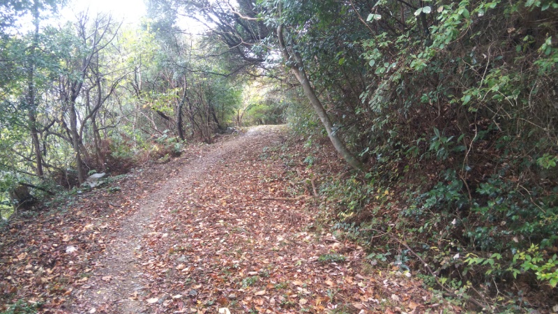 大坂峠登り