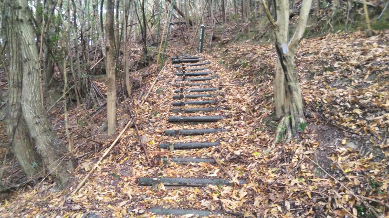 大坂峠登り